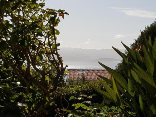 Ajaccio Studio Parc Berthault / Albert 1Er Екстериор снимка